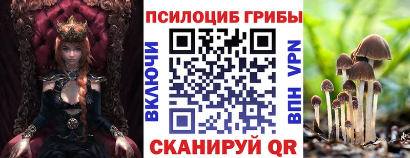 Купить  Вичуга  Псилоцибиновые грибы мицелий 